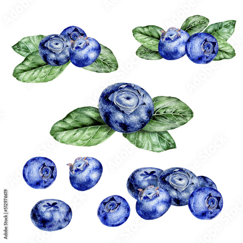 Watercolor set of illustrations of blueberries on white background photo