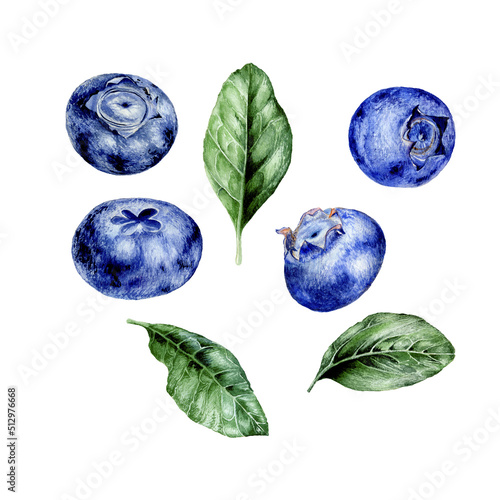 Watercolor set of illustrations of blueberries on white background photo