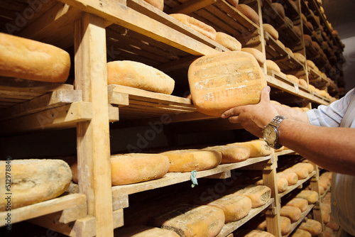 fabricacion artesanal de queso Binigarba - denominacion de origen Mahon artesano-  finca Binigarba, Ciutadella, Menorca, Islas Baleares, españa, europa. photo