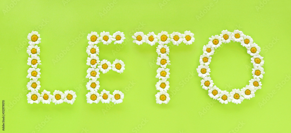 Fototapeta premium Word LETO means Summer in the Slovak language. Letters made of white daisies on bright light green background. Small chrysanthemums (Leucanthemum paludosum) look like chamomiles. Hello summer concept.