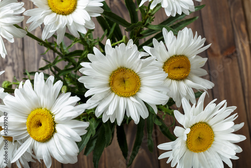 bouquet of daisies close up on a wooden background. copy space