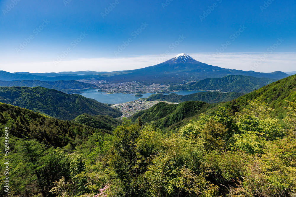 新緑が綺麗な新道峠から見える富士山