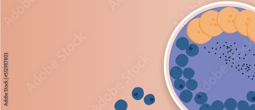 Smoothie bowls with blueberries and banana, flat vector stock illustration with healthy vegan food, copy space background