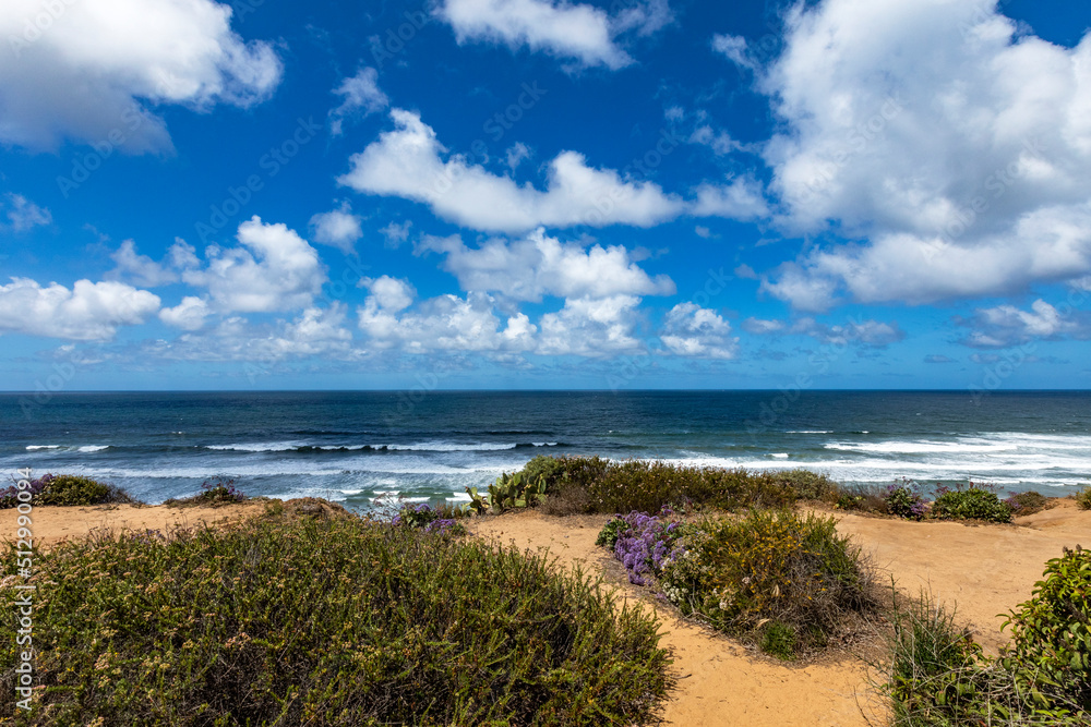 USA, California, Torrey Pines, Sand beach at seaside
