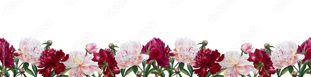 Obraz premium watercolor summer flowers - colorful peonies in botanical style