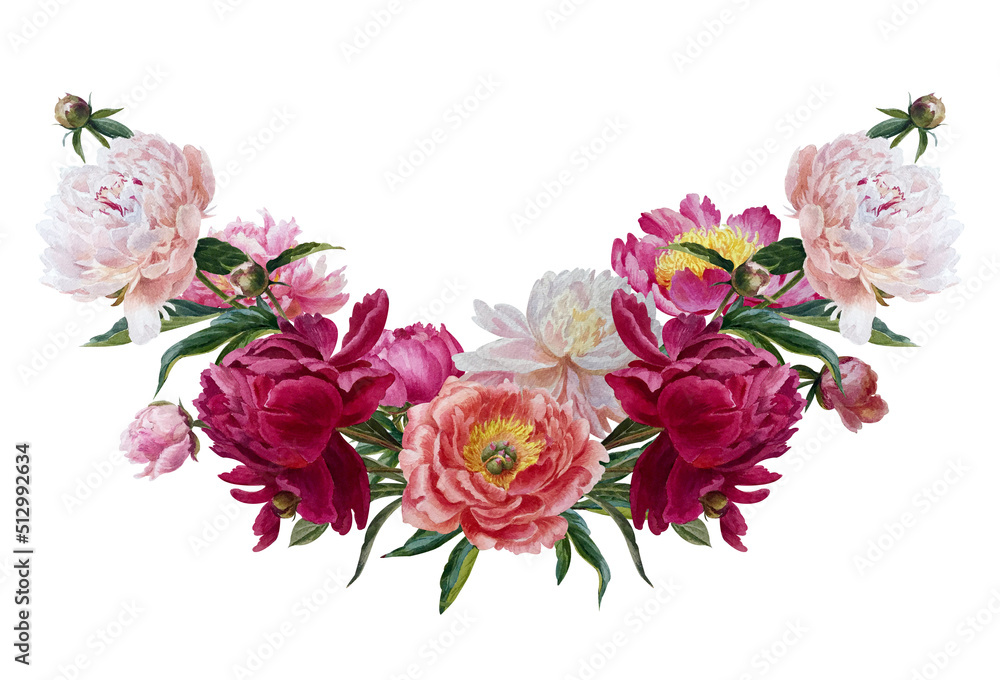 watercolor summer flowers - colorful peonies in botanical style