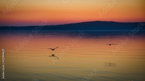 Golden sunset on a calm evening lake with seagulls © g.photobox