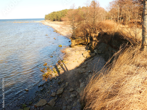 The Baltic Sea beach in Estonia photo