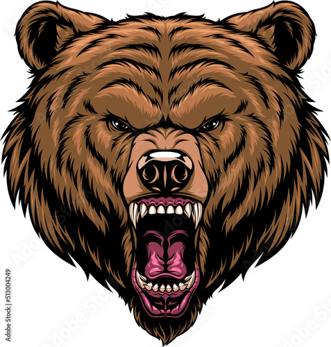 Vector illustration, the head of a ferocious grizzly bear