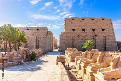 Obraz na płótnie Karnak Temple entrance and the King s Festivities Road or Avenue of Sphinxes, Luxor, Egypt w salonie