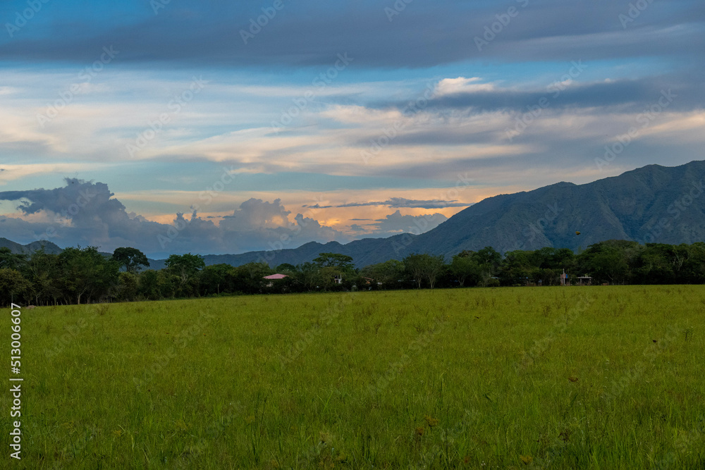 Naklejka premium sunset in a rice field