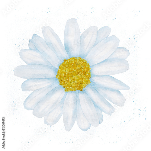 Bouquet of white watercolor daisies on a white background