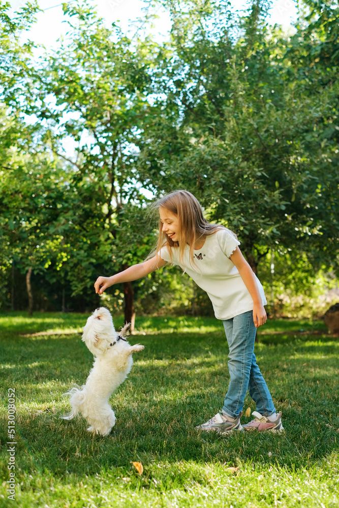 girl 9 years old model plays on juicy fresh lawn grass with white dog maltese summer holidays girl 9 years old model plays on juicy fresh lawn grass with white dog maltese summer holidays
