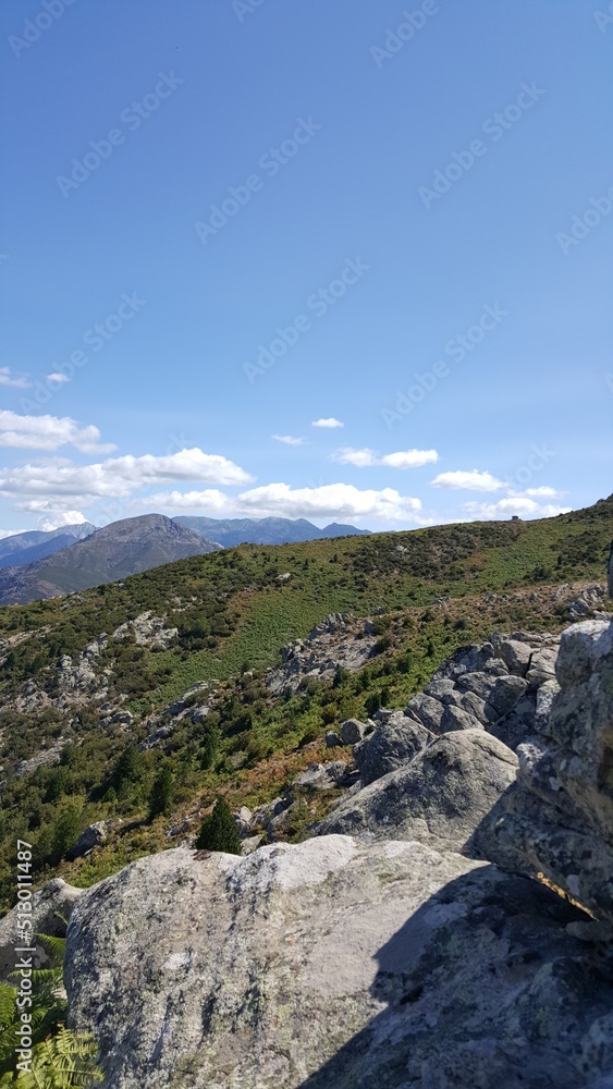 Montagne Corse (Carbuccia)