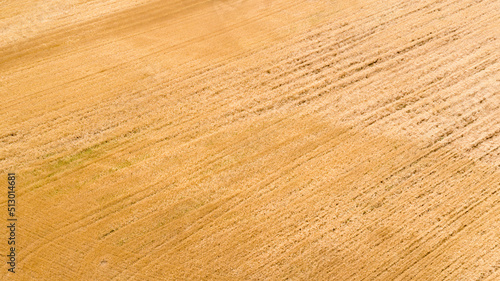 Aerial view on a wheat field grown in Italy.