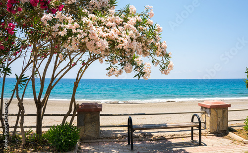 Beautiful resort promenade with a bench and blooming colorful Oleanders against the backdrop of  Mediterranean Sea and blue sky.