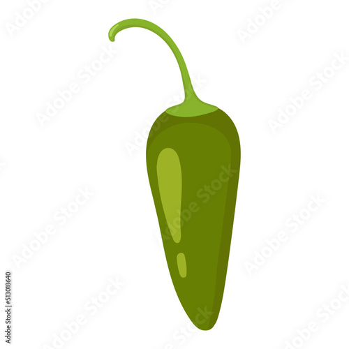 Jalapeno peppers. Vector image of an pepper. Hot pepper.