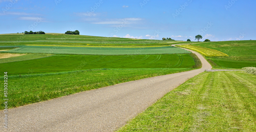 Sommerlandschaft auf der Schwäbischen Alb bei Engstingen; Baden Württemberg, Deutschland Sommerlandschaft auf der Schwäbischen Alb bei Engstingen; Baden Württemberg, Deutschland