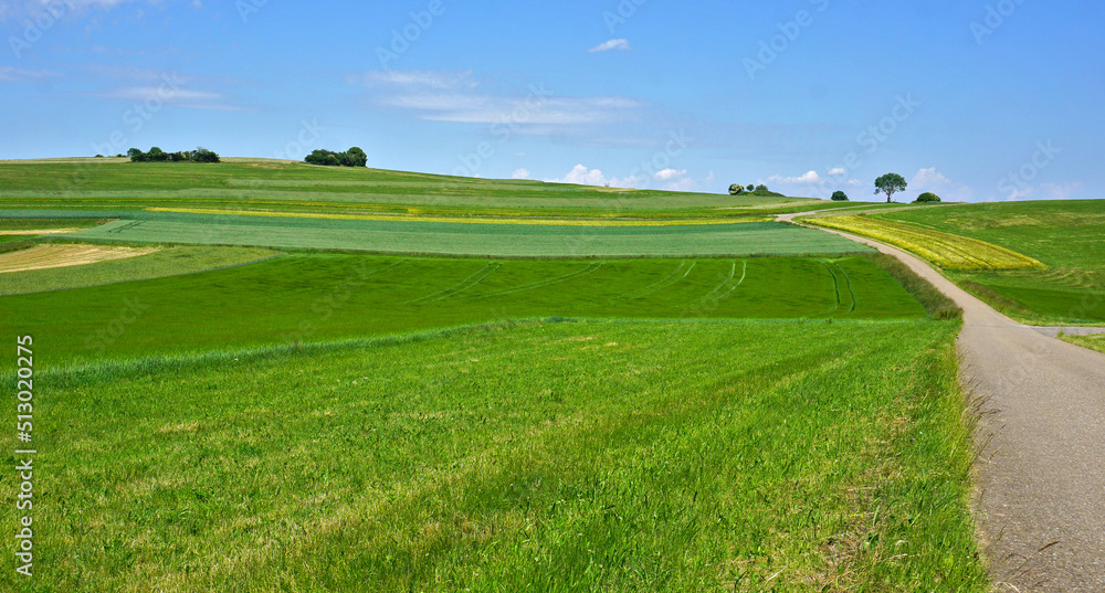 Sommerlandschaft auf der Schwäbischen Alb bei Engstingen; Baden Württemberg, Deutschland Sommerlandschaft auf der Schwäbischen Alb bei Engstingen; Baden Württemberg, Deutschland