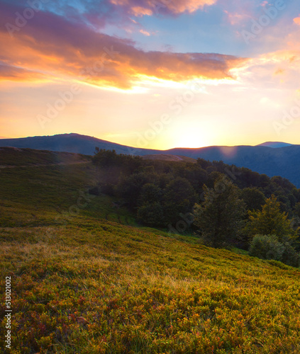 spectacular summer scenery, awesome sunset landscape, beautiful nature background in the mountains, Carpathian mountains, Ukraine, Europe