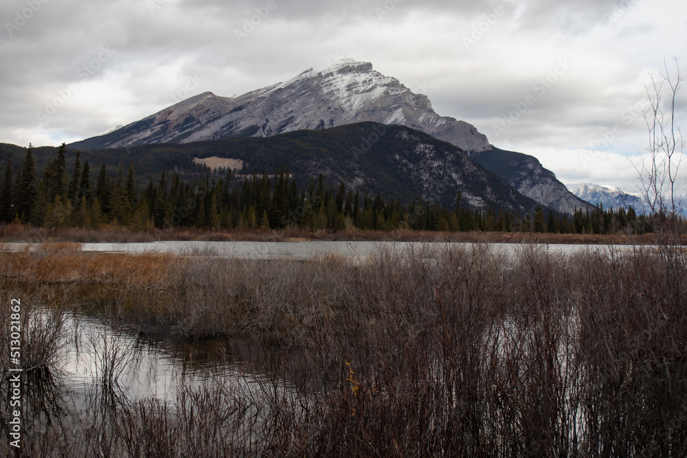 On a dark and gloomy day a in Banff national park in the Canadian Rocky Mountains a mountain stands tall infront of a marsh 