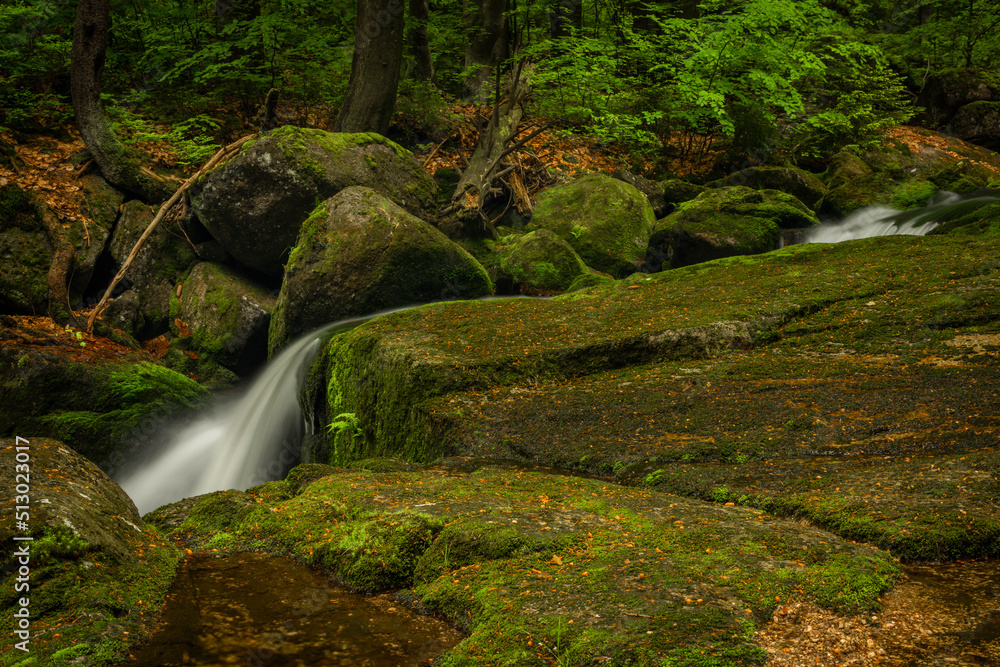 Jedlova creek in Jizerske mountains in spring morning Jedlova creek in Jizerske mountains in spring morning