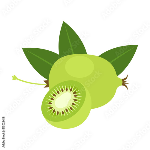 Hardy kiwi whole fruit and halved isolated on white background. Actinidia arguta, mini or baby kiwi berry icon for farm market. Vector illustration of exotic fruits in flat style.