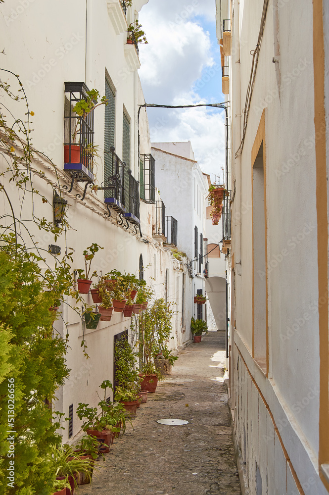 Alley with plants and white houses in Andalusia