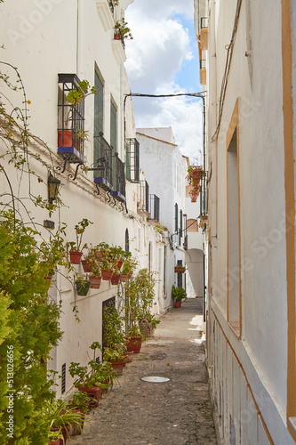 Fototapeta Naklejka Na Ścianę i Meble -  Alley with plants and white houses in Andalusia