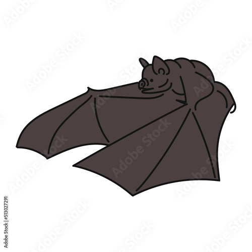 Printillustration of a bat animal photo