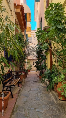 Narrow alley between stone buildings and plants in Nafplio, Greece photo