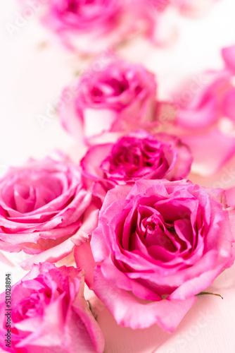 Pink roses