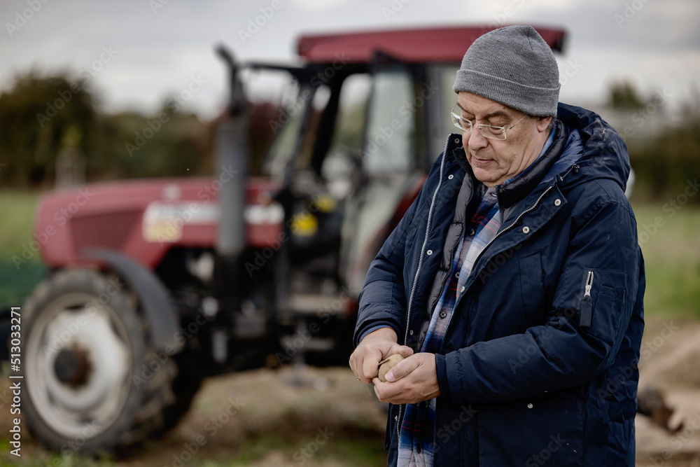 Bauer prüft auf einem Feld die Qualität seiner Kartoffeln vor seinem Traktor