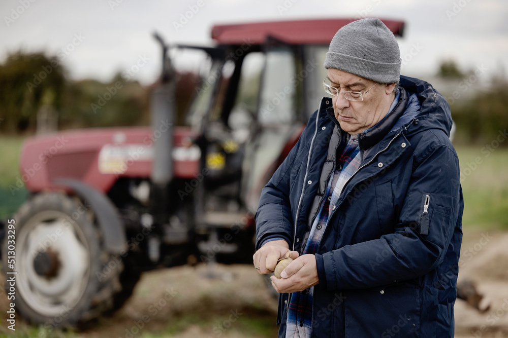 Bauer prüft auf einem Feld die Qualität seiner Kartoffeln vor seinem Traktor Bauer prüft auf einem Feld die Qualität seiner Kartoffeln vor seinem Traktor