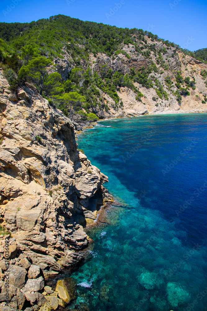 Fototapeta premium Cala Blanca, a tiny bay with turquoise waters in the southeast of Ibiza Island in the Mediterranean Sea - Pine covered cliffs overlooking the Mediterranean Sea near Cala Llonga