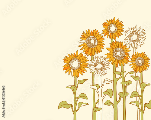 Sunflowers field background. Vector sunflowers vintage illustration nature background for text. Vector graphic handdrawn line field sunflowers