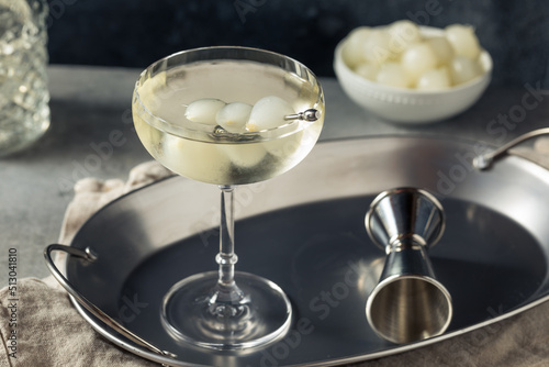 Tableau sur toile Boozy Refreshing Gin Gibson Martini