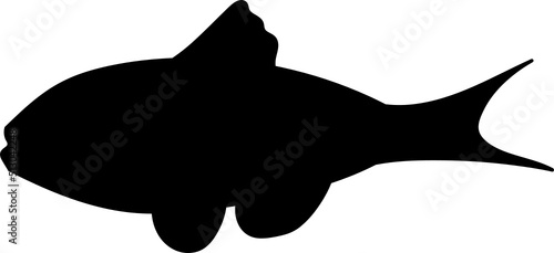 Set of cartoon fishes. Modern flat fishes, Isolated fish. Flat design fish. Vector illustration, fishes. fish collection.  