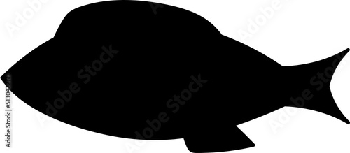 Set of cartoon fishes. Modern flat fishes, Isolated fish. Flat design fish. Vector illustration, fishes. fish collection.  