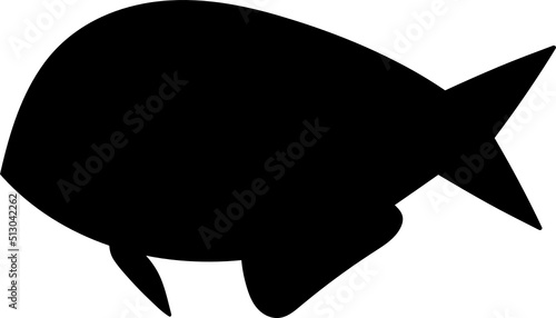 Set of cartoon fishes. Modern flat fishes, Isolated fish. Flat design fish. Vector illustration, fishes. fish collection.  