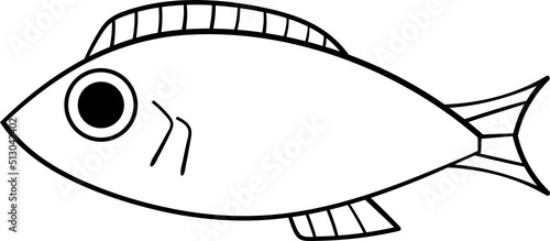 Set of cartoon fishes. Modern flat fishes, Isolated fish. Flat design fish. Vector illustration, fishes. fish collection.  