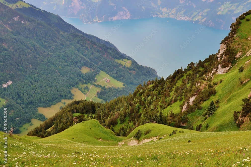 Blick auf den Vierwaldstättersee, Schweiz