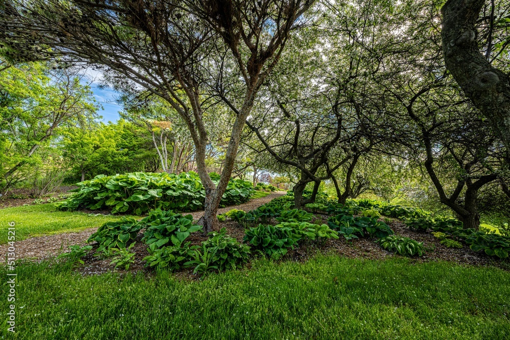 Arboretum and Botanical Garden in Moscow, Idaho Arboretum and Botanical Garden in Moscow, Idaho
