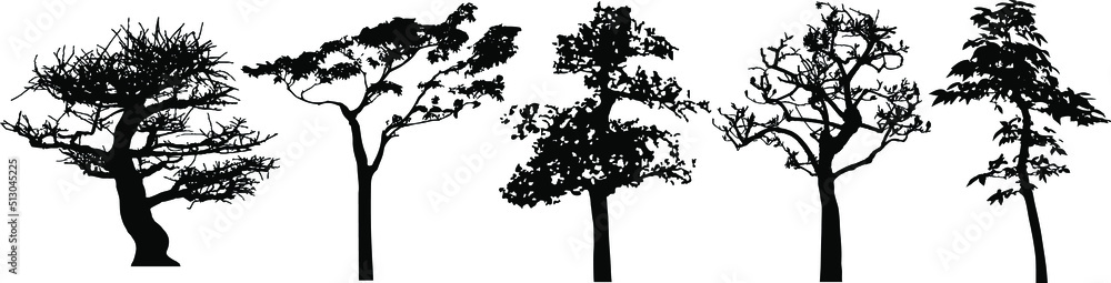 Vector silhouette of trees. Isolated eps 10.