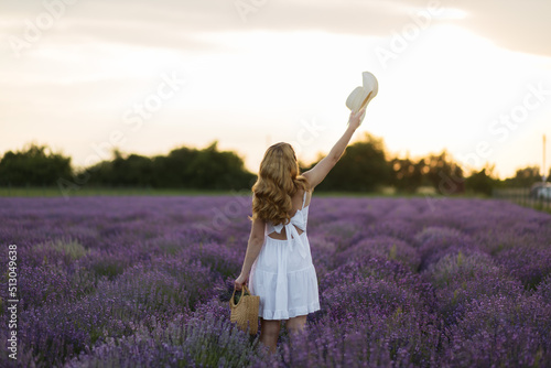 Wallpaper Mural Lavender field sexy girl portrait in straw hat. Provence, France. A girl in white dress walking through lavender fields at sunset. Torontodigital.ca