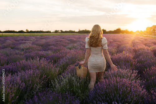 Girl in a lavender field. Woman in a field of lavender flowers at sunset in a white dress. France, Provence.