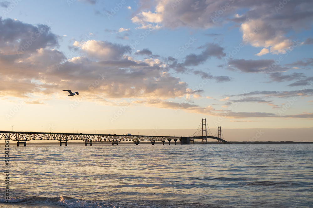 Mackinac Bridge at sunset and seagull in foreground, Michigan, USA
Mackinac Bridge at sunset and seagull in foreground, Michigan, USA