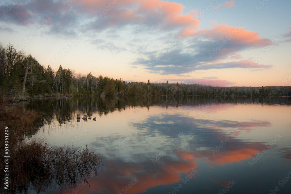 Trees on the peaceful shore of Michigan lake with pink and grey clouds at sunset Trees on the peaceful shore of Michigan lake with pink and grey clouds at sunset