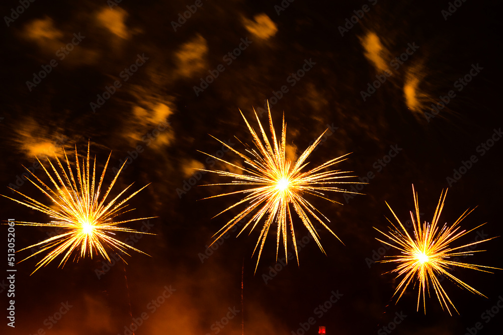 fireworks in the form of bright yellow-gold flowers on a black night sky.