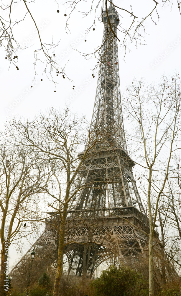 Tour de Eiffel with foreground of winter tree branches